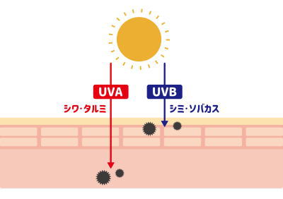 O(UVj΍